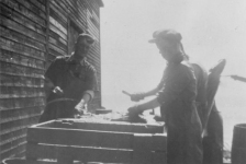550: Splitting fish at Dunphy's wharf, J V McCarthy at left, Pat Dunphy at right. (circa 1943)  - J V son of Thomas McCarthy &amp;amp; Anastasia Fitzgerald, married Julia Reddy;  Pat son of Thomas Dunphy &amp;amp; Anastasia Carroll